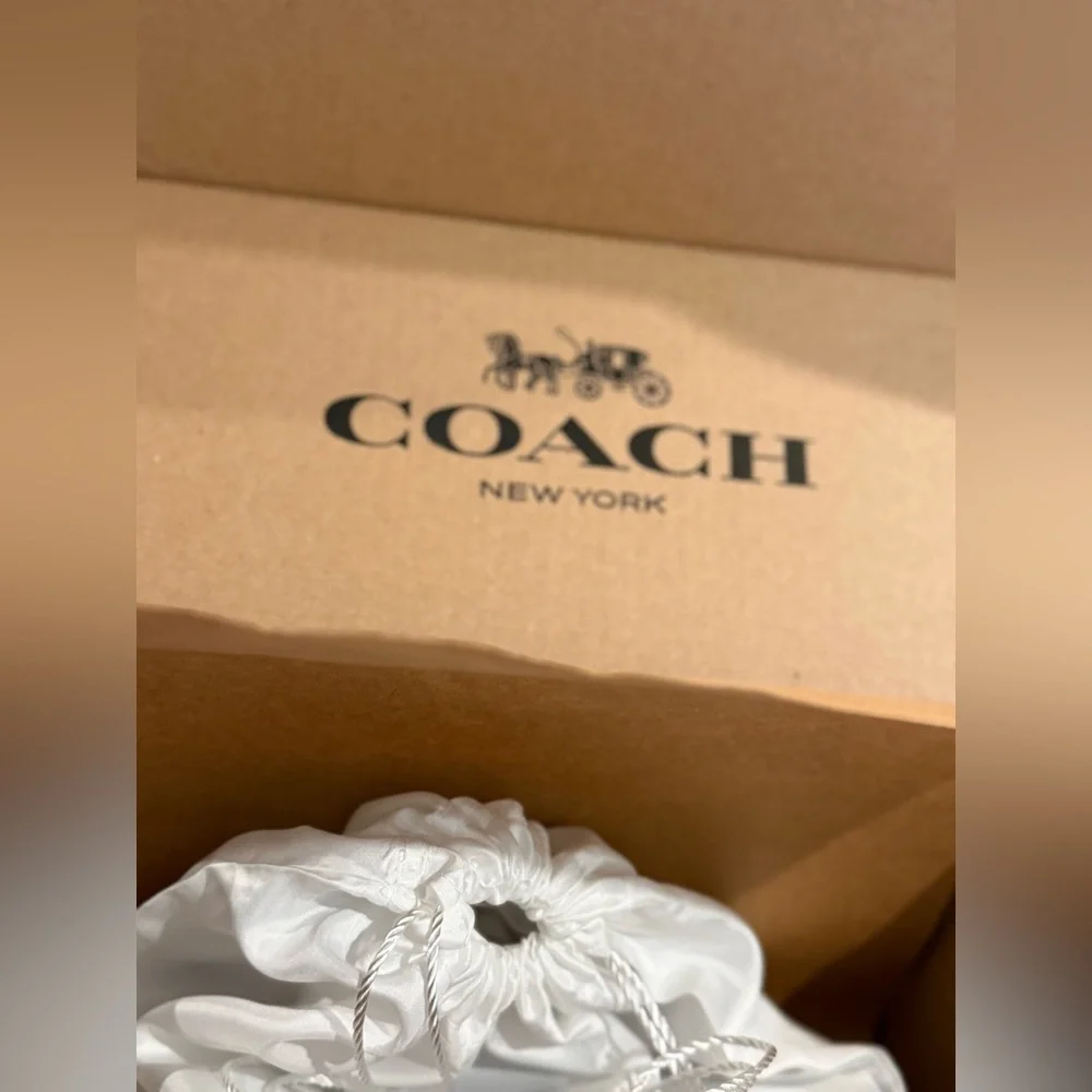 Coach Kisslock Black 1969 Limited Edition Bag - Picture 10 of 11
